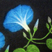 Naoto Abe Gallery